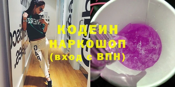 мдпв Гусев