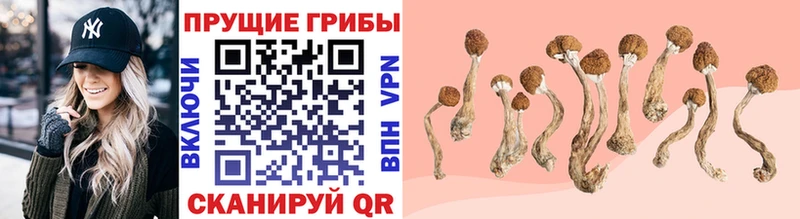 OMG сайт  Слободской  Галлюциногенные грибы GOLDEN TEACHER 